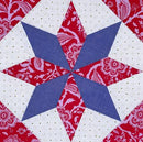 Pint Size Wedge Star Deb Tucker DT29