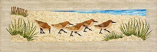 Sandpipers On Parade Pattern