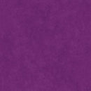 ShadowPlay -Charisma