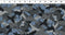 Wild Life Flannel Camo Y3138-119