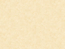 12 Days of Christmas Motion - Cream