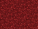 12 Days of Christmas Starry Skies - Red