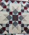 T2Q Sept Quilt kit