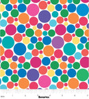 2025 LTD Fizz - Rainbow