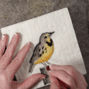 2D Meadowlark Picture Needle Felting Kit