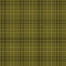 A Wooly Autumn Plaid - Moss