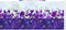 Allure Border Stripe - Purple