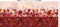 Allure Border Stripe - Red