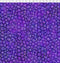 Allure Lanterns - Purple
