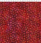 Allure Lanterns - Red