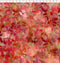 Allure Mums - Red