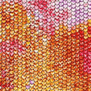 Atlantia Scales - Poppy