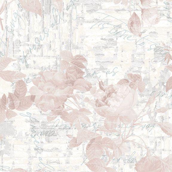 Backyard Roses - Blush
