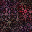 Bali Salsa Jacks - Black/Multi