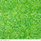 Batiks Elemental Rainbow Brights - Kiwi