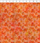 Blooming Day & Night Poppies - Orange