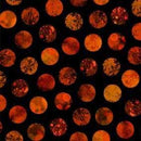 Boo Town Glitter Dots - Black