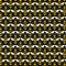 Buzzworthy -Bee Geo -Black/Gold