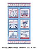 Celebrate the USA 24" Block Panel - Blue