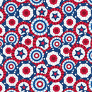 Celebrate the USA Celebration Banners - Multi