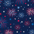Celebrate the USA Patriotic Fireworks - Navy