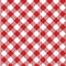 Chillin & Grillin Gingham Check - Red/White