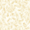 Color Dance Blender - Ivory