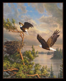 Coming Home 36" Eagle Panel - Black