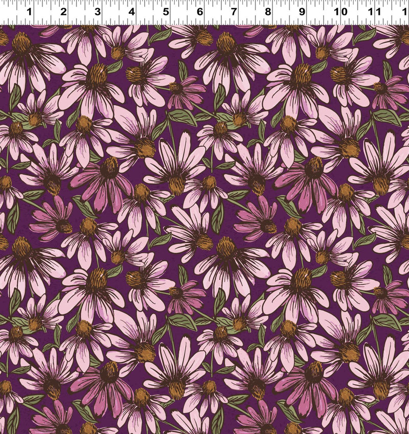 Coneflower Corral Echinacea - Dark Eggplant