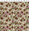 Coneflower Corral Echinacea - Olive