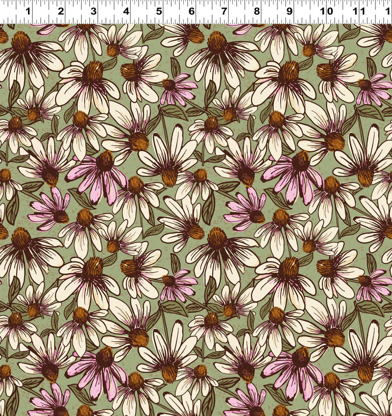 Coneflower Corral Echinacea - Olive