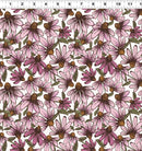 Coneflower Corral Echinacea - White