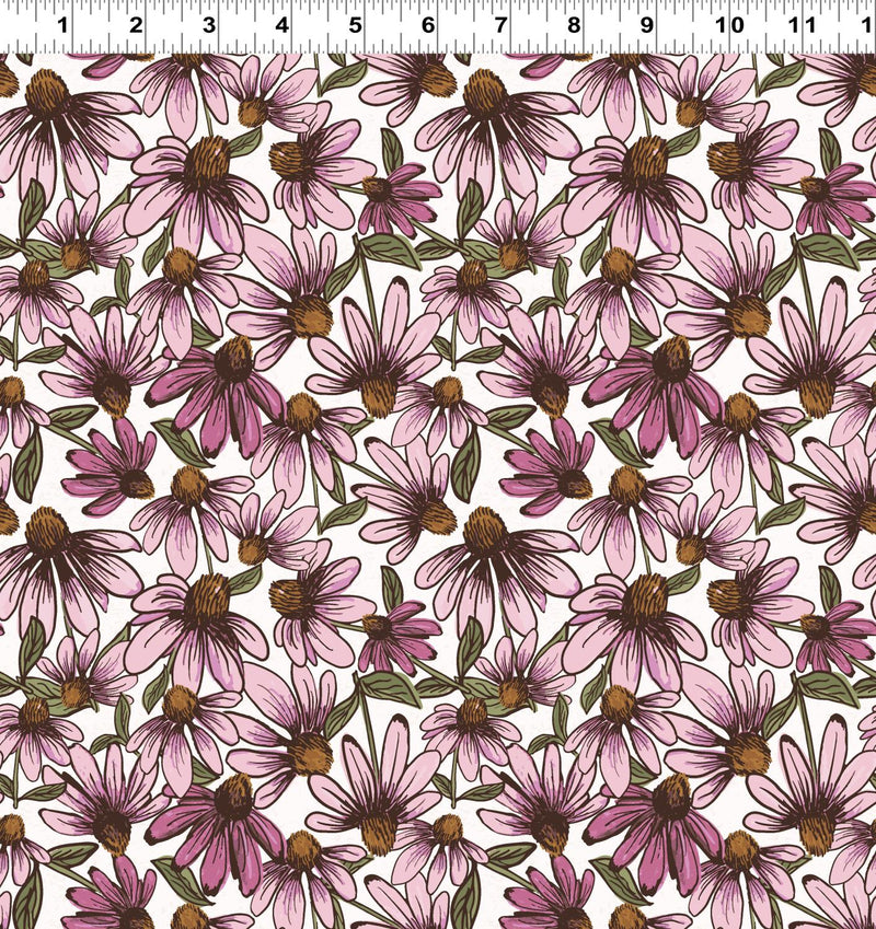 Coneflower Corral Echinacea - White
