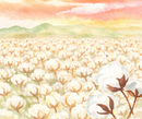 Cotton Autumn Batting Twin (90" x 80") - Natural