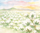 Cotton Summer Batting Twin (90" x 80") - Natural