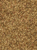 Dabble Paint Drops 118" - Vanilla