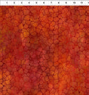 Dear Clara Bloom - Orange
