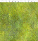 Dear Clara Enchant - Lime