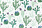 Digital Cuddle - Sew Succulent - Ivy