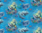 Dolphin Falls Dolphins - Blue