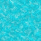 Dot to Dot Widebacks 118" - Aqua