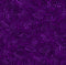 Dot to Dot Widebacks 118" - Purple