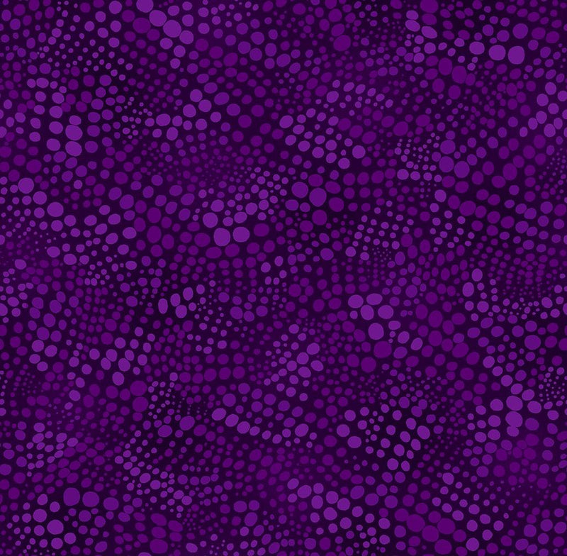 Dot to Dot Widebacks 118" - Purple