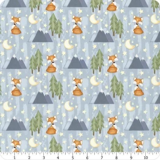 Dream Big Little One Foxes Allover - Blue