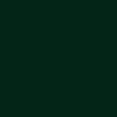 Ecco Cotton Solid - Evergreen