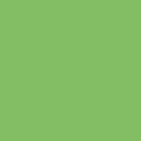 Ecco Cotton Solid - Granny Smith