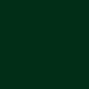 Ecco Cotton Solid - Kale Green