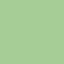 Ecco Cotton Solid - Mint