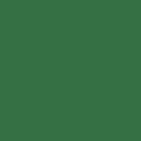 Ecco Cotton Solid - Pine