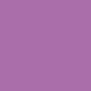 Ecco Cotton Solid - Pixie